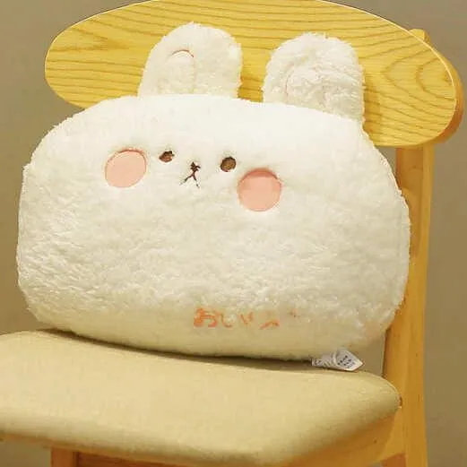 Peluche Lapin Oreiller