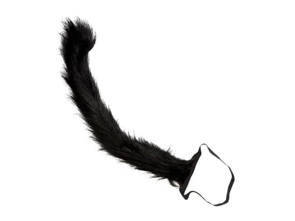 Kattsvans, svart 50 cm