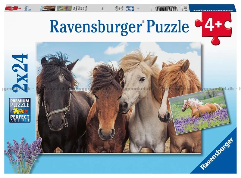 Horse Friends - 2x24 Bitar