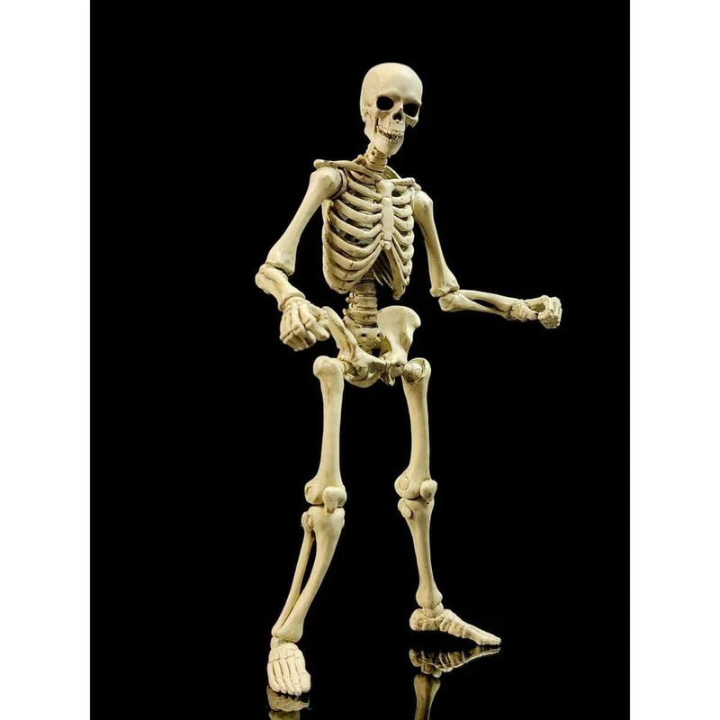 Epic H.A.C.K.S. Actionfigur 1/12 Skeleton Blank Classic Bone