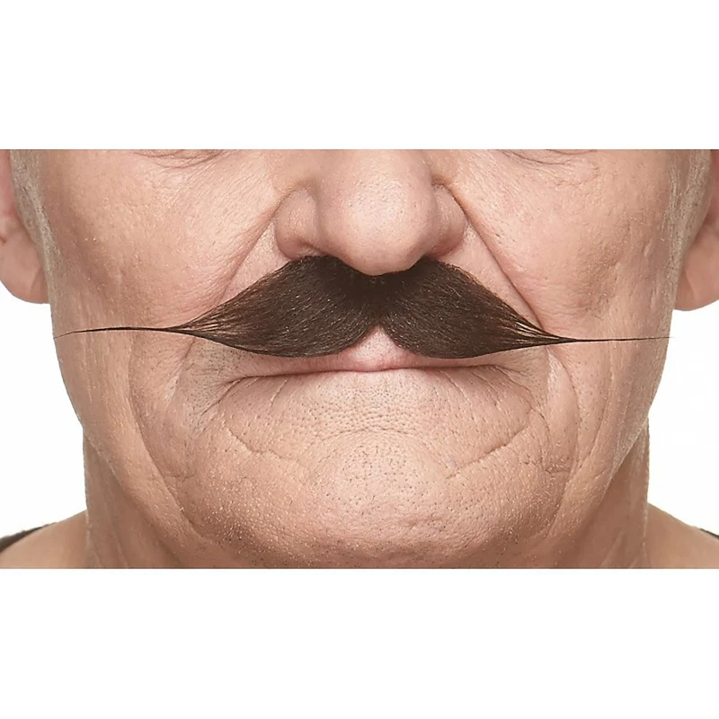Mustasch, gentleman brun
