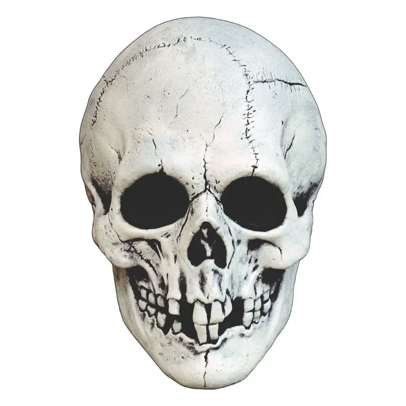 Mabry Monsters Mask Night Owl Skull Vit