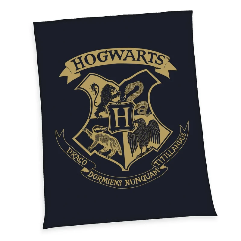 Harry Potter Fleecefilt Hogwarts 150 x 200 cm